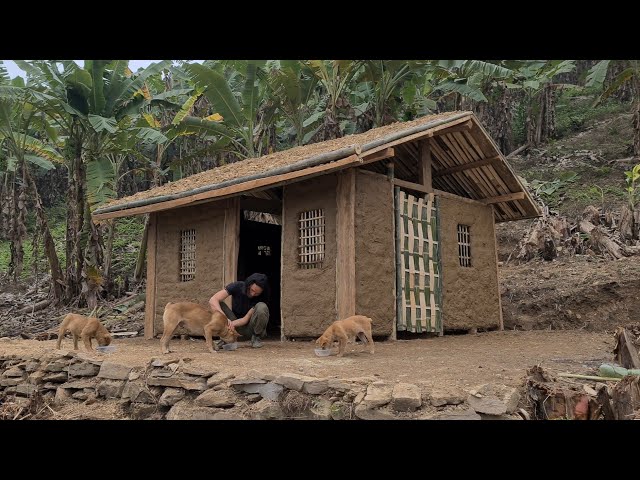 Complete Beautiful Earthen Hut For New Life, Survival Instinct, Wilderness Alone, Ep 190