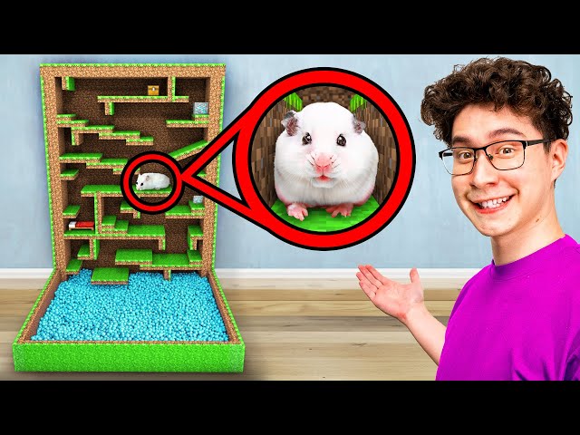 I Built a Minecraft Maze for my Hamster