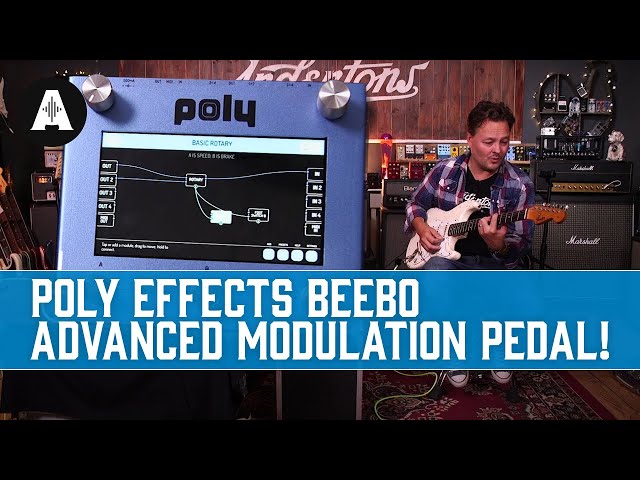 Advanced REAL Space Reverbs In a Pedal! | Poly Effects Beebo & Digit