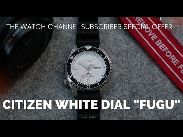 SUBSCRIBER SPECIAL OFFER  JUNE 10TH 2022 .....Citizen Promaster "Fugu" NY0118-11a