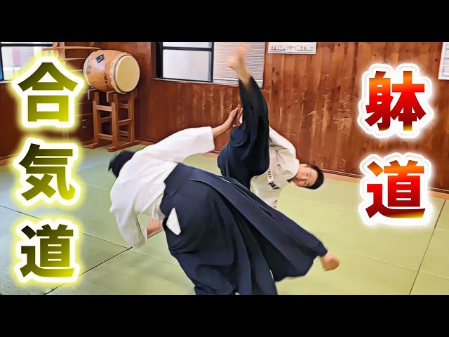 Aikido and Taidō are fused! Try a special Ninja counter