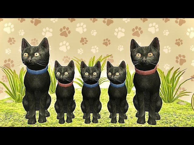 Little Cat Simulator : Kitties Family NEW Enemy Adventure Games iOS - Play Fun Cute Kitten #21