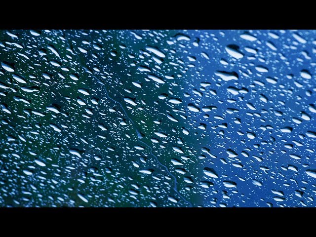 Rain Sounds with Thunder for Sleeping | 10 Hours Rainstorm White Noise