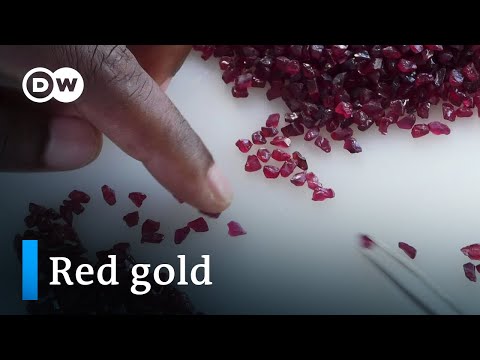 Mozambique's rubies: A blessing or a curse? | DW Documentary