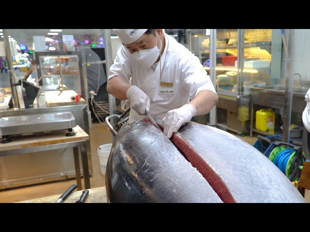 209kg Giant Tuna Cutting Show / 거대한 참치 해체 쇼 / 209公斤巨大鮪魚切割