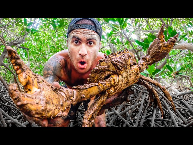 Catch And Cook In Mangrove Forest With Hand Spear