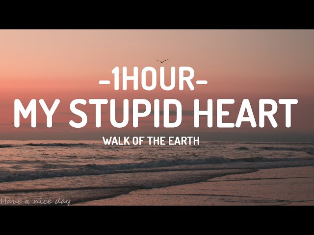 My Stupid Heart - Walk of Earth (Lyrics) [Kids Version] [1HOUR]
