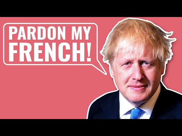 Polyglot Reacts: 7 British Politicians Speaking French 🇫🇷