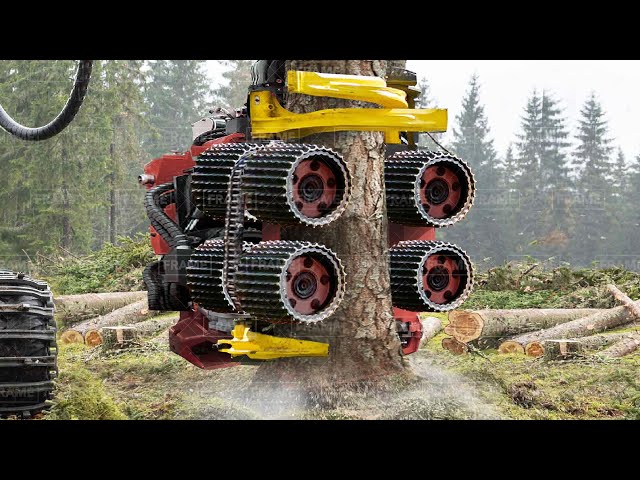 Amazing Modern Process That Revolutionized the Wood Harvesting Industry