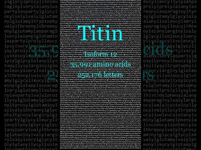 Long Words Bonus 2: Titin #shorts
