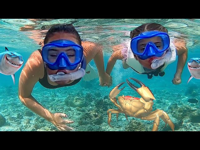 Ruby and Bonnie Brave Sisters Overcome Fear of the Ocean by Snorkeling