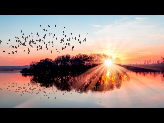 30 Minute Relaxing Music • Instant Stress Relief • Spa Music Relaxation, Yoga Music