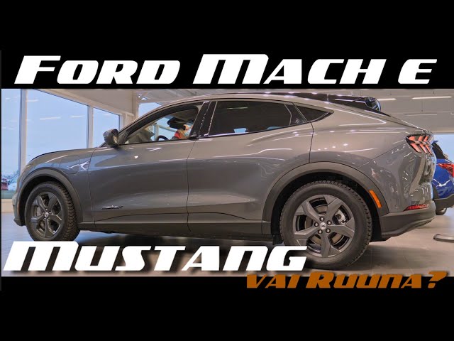 41. Ford Mach E, Mustang vai ruuna?