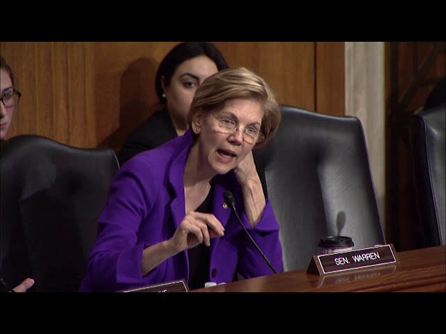 Senator Warren discusses the need for additional mental health funding