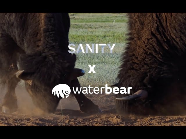 How Sanity empowers Waterbear to dream big for our planet