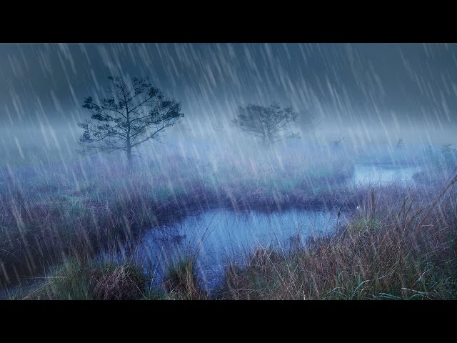 Rain + River Night Ambience | Nature White Noise Study or Sleeping Aid | 10 Hours Stress Relief