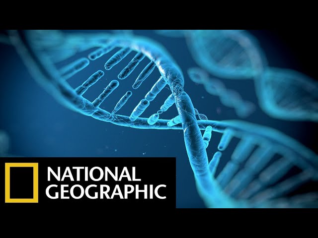 Children of Adam | National Geographic DNA Documentary