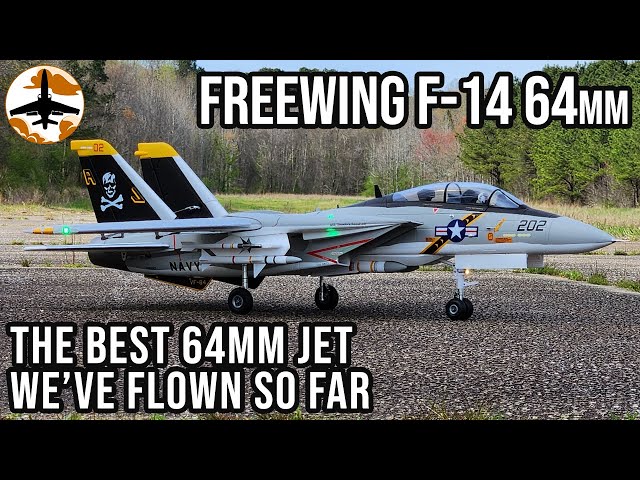 RC Jet PERFECTION - Freewing F-14A Tomcat Twin 64mm