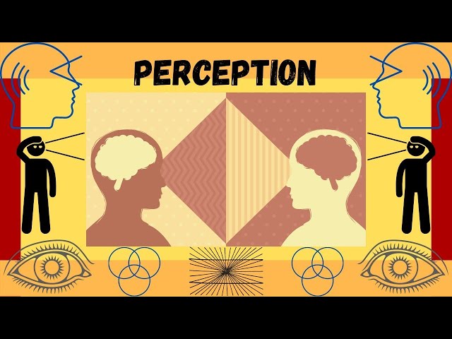 What is Perception? Faculties of the Mind