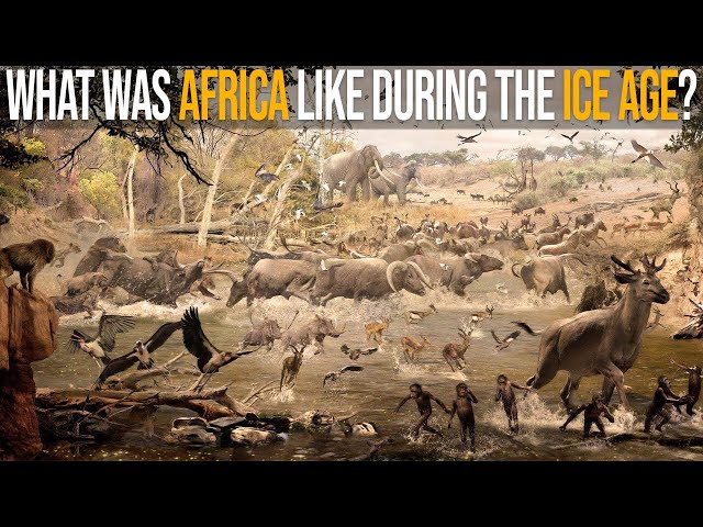 What Was Africa Like During The Ice Age?