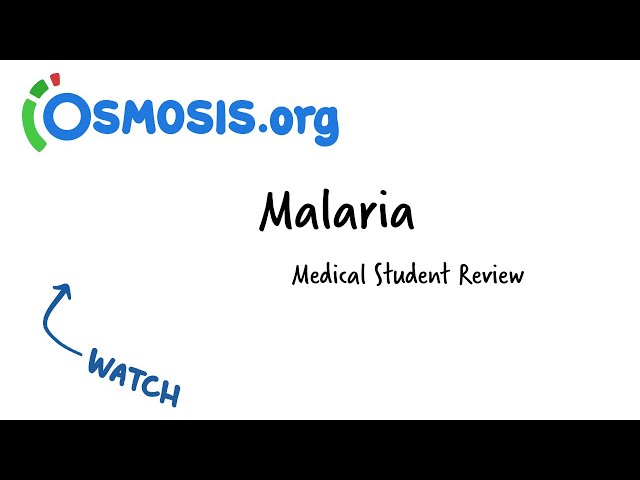 Malaria | Osmosis Study Video