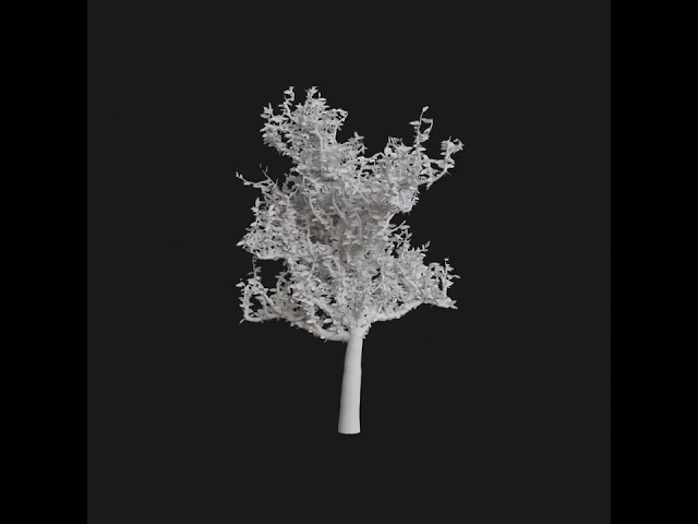 Tree in 60 SECONDS