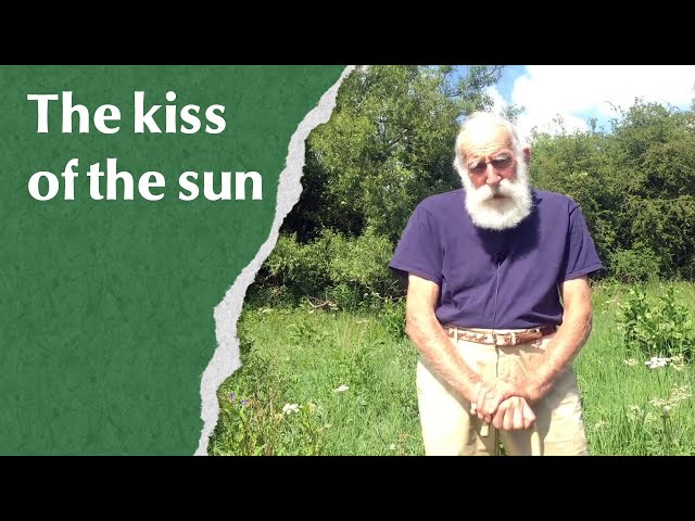 The kiss of the sun