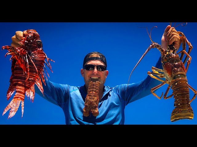 LIONFISH, Mackerel, Lobster and RIBEYES! {Catch Clean Cook} Gravity Grill