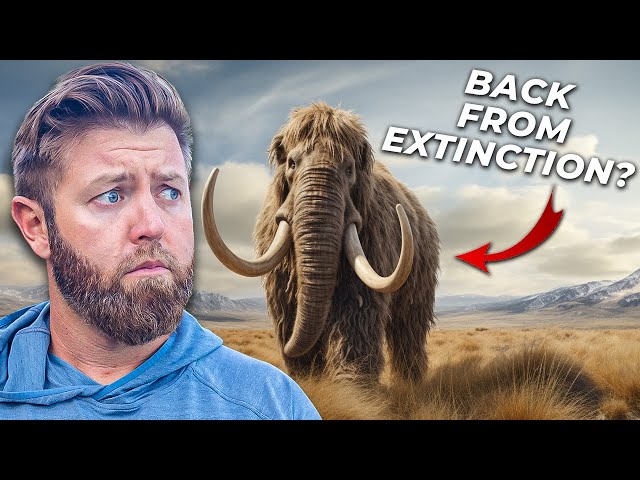 7 Extinct Animals That Could Actually Come Back
