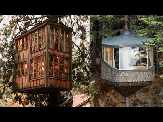 15 Next-Level Forest Houses