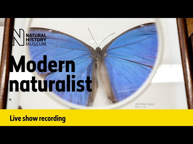 Modern naturalist | Live talk with NHM scientist