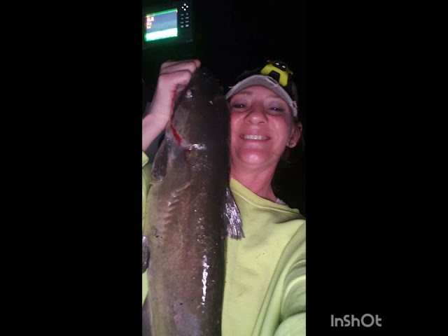 Got out for a bit,  few nights ago..#firethecameraman lol 😆 #fishing #goodtimes