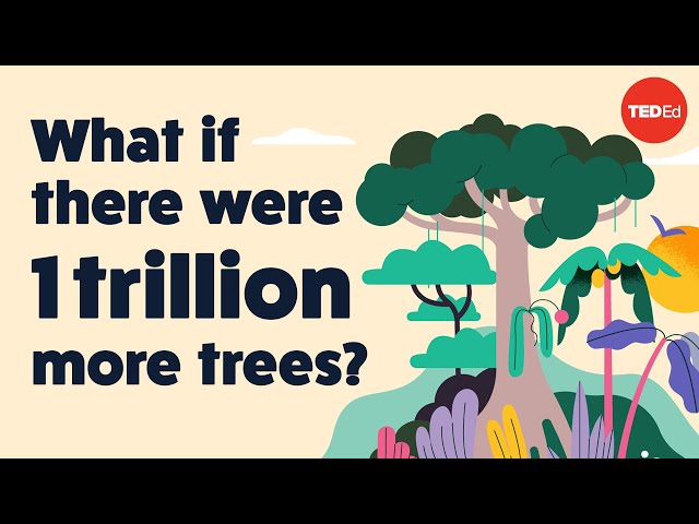 What if there were 1 trillion more trees? - Jean-François Bastin