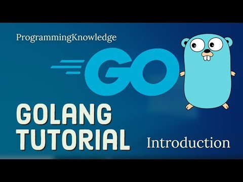 Go Programming Language Tutorial | Golang Tutorial For Beginners | Go Language Training