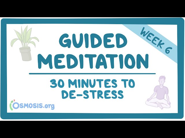 Guided Meditation: 30 Minutes to De-Stress