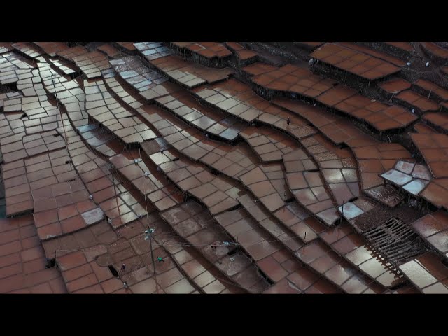 Yak Video | Amazing aerial view of ancient salt pans in China's Tibet
