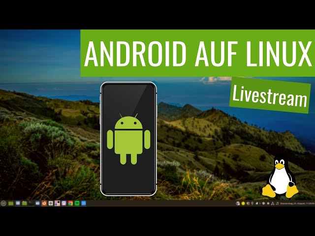 Android auf Linux - Hauke und Jean testen Anbox und Waydroid