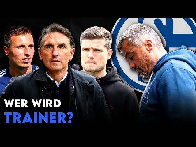 Reis-Nachfolger gesucht! Diese Trainer können Schalke in der 2. Bundesliga helfen!