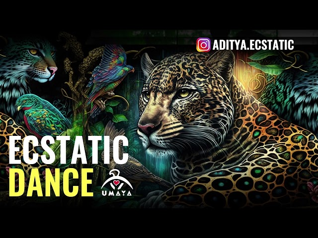 MEDICINE/TRIBAL Ecstatic Dance! mix by Dj Aditya