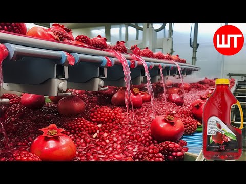 How Pomegranate Juice Is Made In Factory | Modern Pomegranate Harvesting Technology | Food Factory