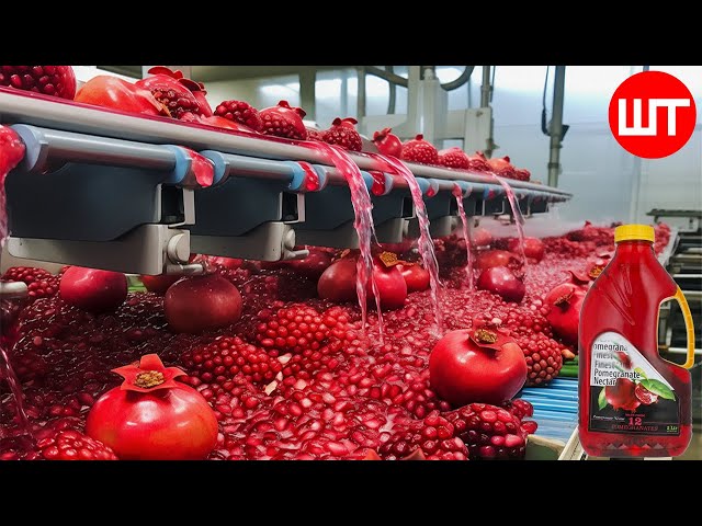 How Pomegranate Juice Is Made In Factory | Fresh Pomegranate Juice Factory Process