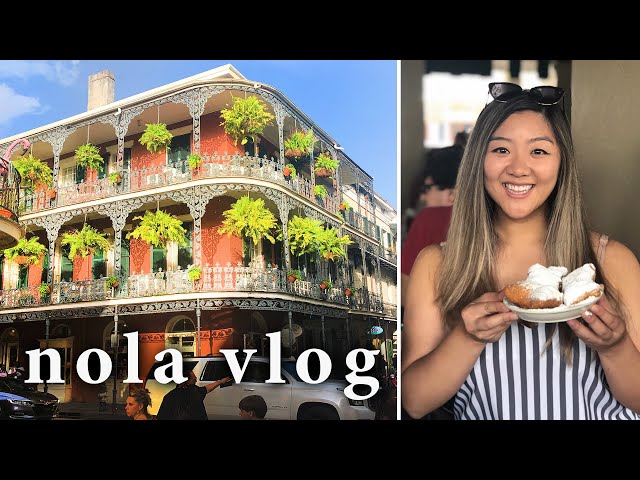 New Orleans Vlog : A Rat Came In And Pooped In Our Airbnb!!! | Jasmine Pak