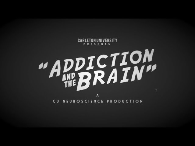 Neuroscience - Addiction and the Brain