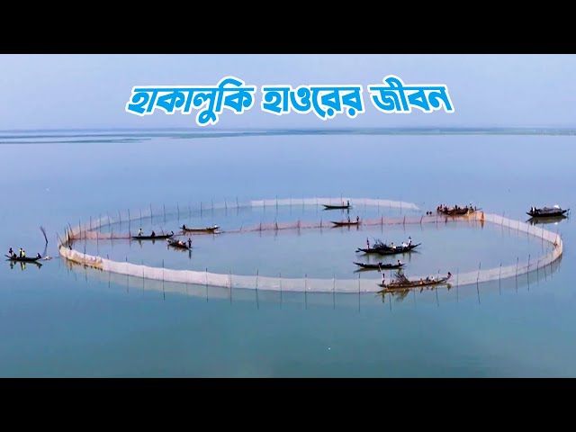সিলেটের হাকালুকি হাওরের জীবন || Lifestyle at Hakaluki Haor in Sylhet