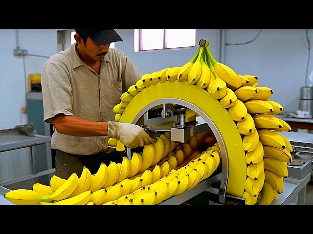 Modern Food Processing Machines operating at an Insane Level Ep:68