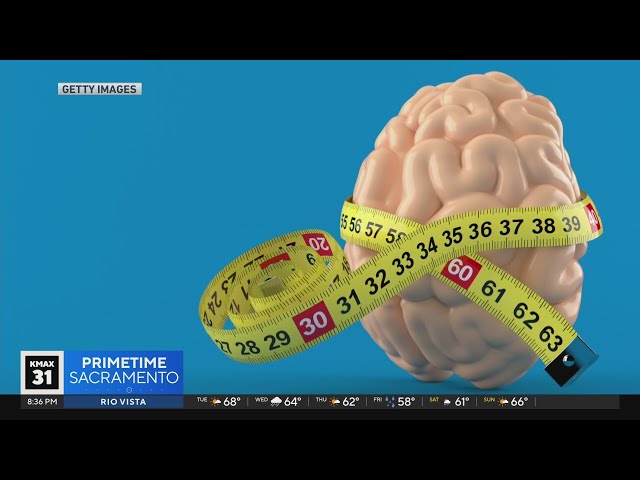 The Answer: Brains are getting bigger?