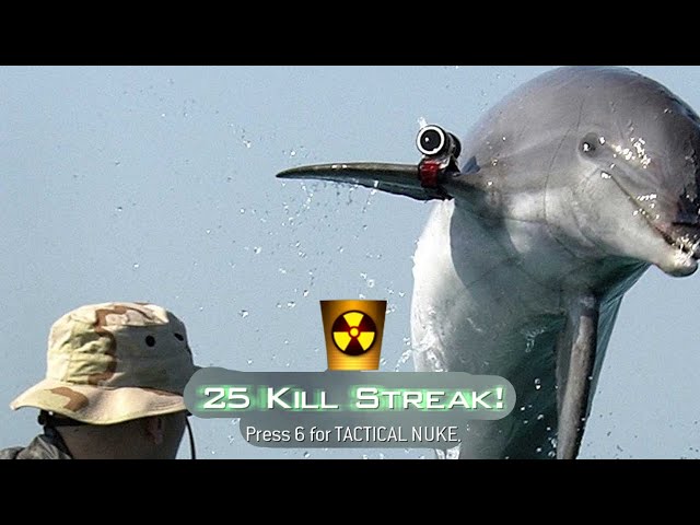 The Nuke Guarding Dolphins of the U.S. Military