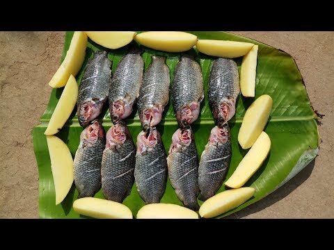 Delicious Fish Recipe
