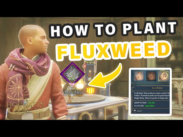 How to Grow & Harvest Fluxweed and Combat Plants ► Hogwarts Legacy
