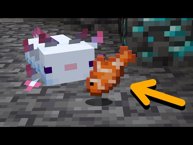 How to tame axolotls in Minecraft 1.17  (Caves and Cliffs Update)